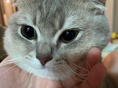 -爱诺耐芙动物医院(万博店)