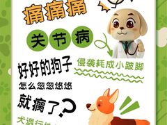 -康成宠物医院24H·CT·核磁共振