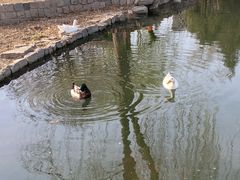 -春风习习