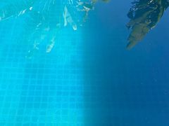 -三亚亚龙湾铂尔曼别墅度假酒店