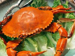 -辉记炭烧海鲜大排档·老字号(福田店)