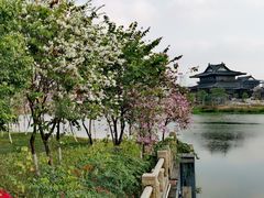 -海珠湖公园