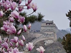 -居庸关长城