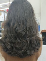 -1983 Hair Salon
