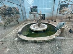 -青藏高原野生动物园
