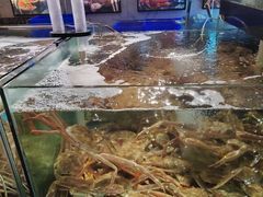 -蟹之国·精品蟹料理(极地店)