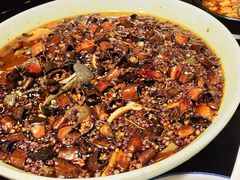 -陈麻婆豆腐总店
