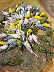 -酷嗒动物文化乐园(cutezoo西溪乐天城店)