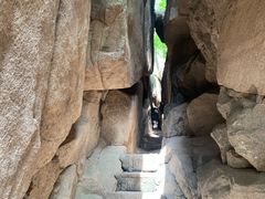 -鲁山国家森林公园