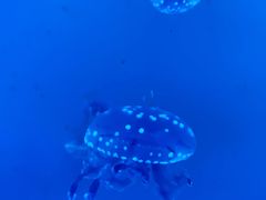 -常州海昌海洋探索馆