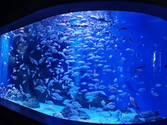 -成都浩海立方海洋公园