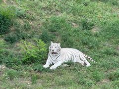 -石家庄市动物园