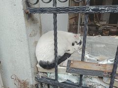 -二楼南书房