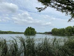 -尚湖风景区
