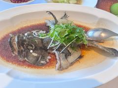 -顺峰(农展馆店)
