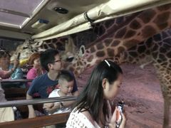 -清迈夜间动物园