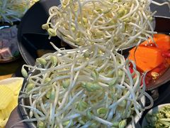 -阳阳老火锅(小南门店)