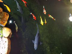 -味可道·黄圃人家园林酒家(兆丰店)