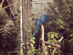 -The Grounds of Alexandria