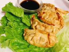 -熊猫川菜馆 panda chine