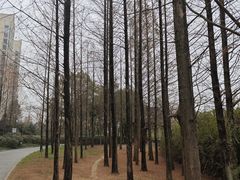 -成都南湖公园