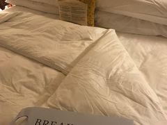 -广州富力丽思卡尔顿酒店