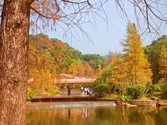 -云溪植物园