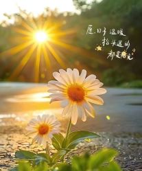 点击看大图 -雅曼妮spa美容养生