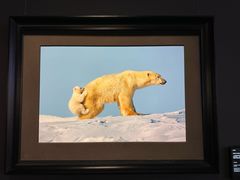 -罗红摄影艺术馆