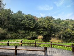 -天目湖山水园