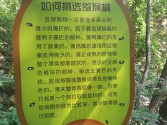 -大岭沟猕猴桃谷风景区