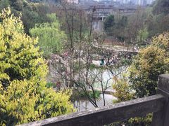 -重庆彩云湖湿地公园