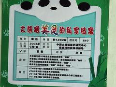 -南昌动物园
