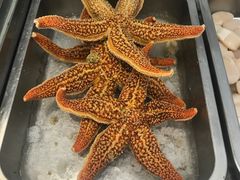 -抹直口特色菜馆(一店)