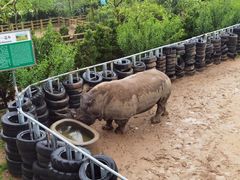 -西霞口神雕山野生动物世界