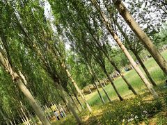 -东郊湿地公园