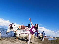 -青海湖国家重点风景名胜区