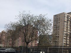 -潘家园(地铁站)