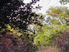 -山东师范大学(千佛山校区)