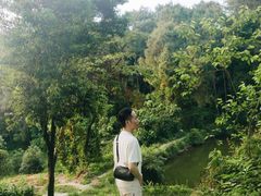 -铁山坪森林公园