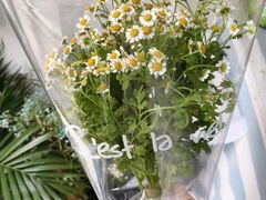 -雪蔓之鲜花气球派对(家佳源时代中心店)