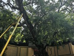 -无锡惠山寺