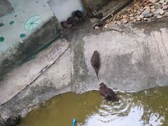 -泉州海丝野生动物世界