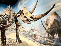 -国家自然博物馆