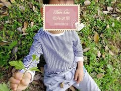 -滴水岩森林公园
