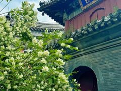 -潭柘寺景区