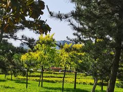 -洨河生态公园