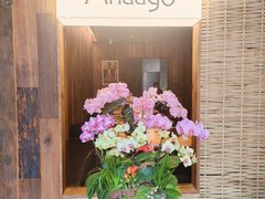 -Anaago安纳果·云南Bistro(海上世界店)