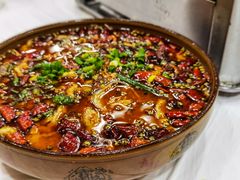 水煮肉片-乡土特色.冷锅鱼.牦牛肉汤锅