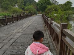 -常德桃花源景区